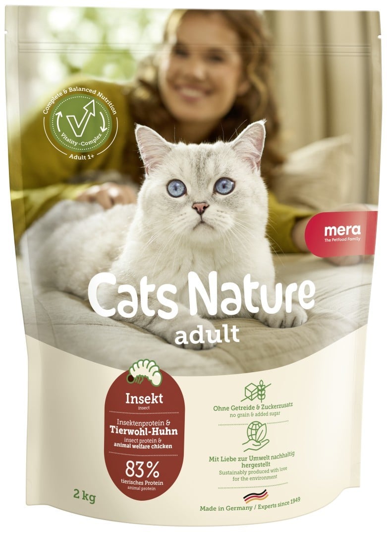 mera Cats Nature adult insect